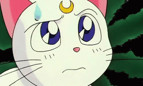 Sailormoon Artemis GIF , Sailormoon Artemis Cat , Discover \u0026 Share GIFs